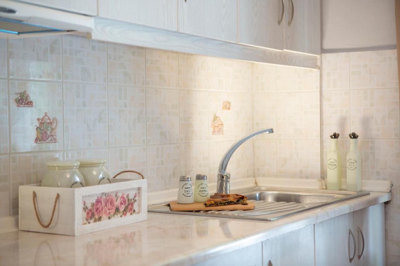 Apartament Akratos Wine House Nydri  Zewnętrze zdjęcie